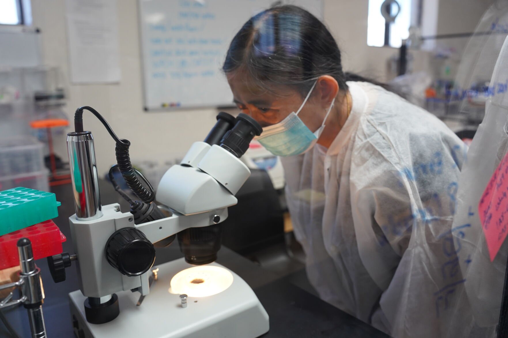 Trump administration has terminated 67 research grants at U of A — so far